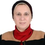 Samar Aboulsoud